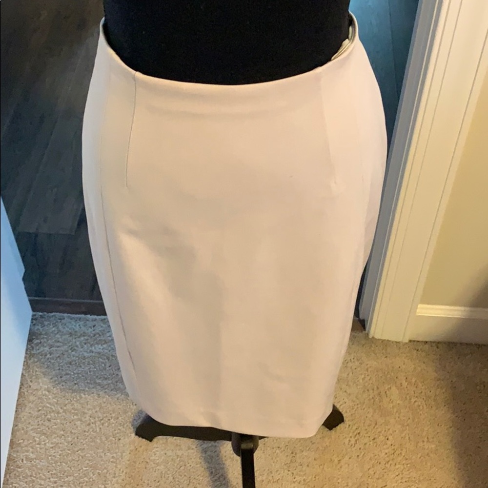 Tan suit skirt